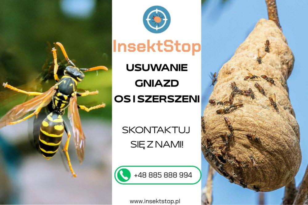  jak pozbyć się os usuwanie gniazd insektstop.pl 